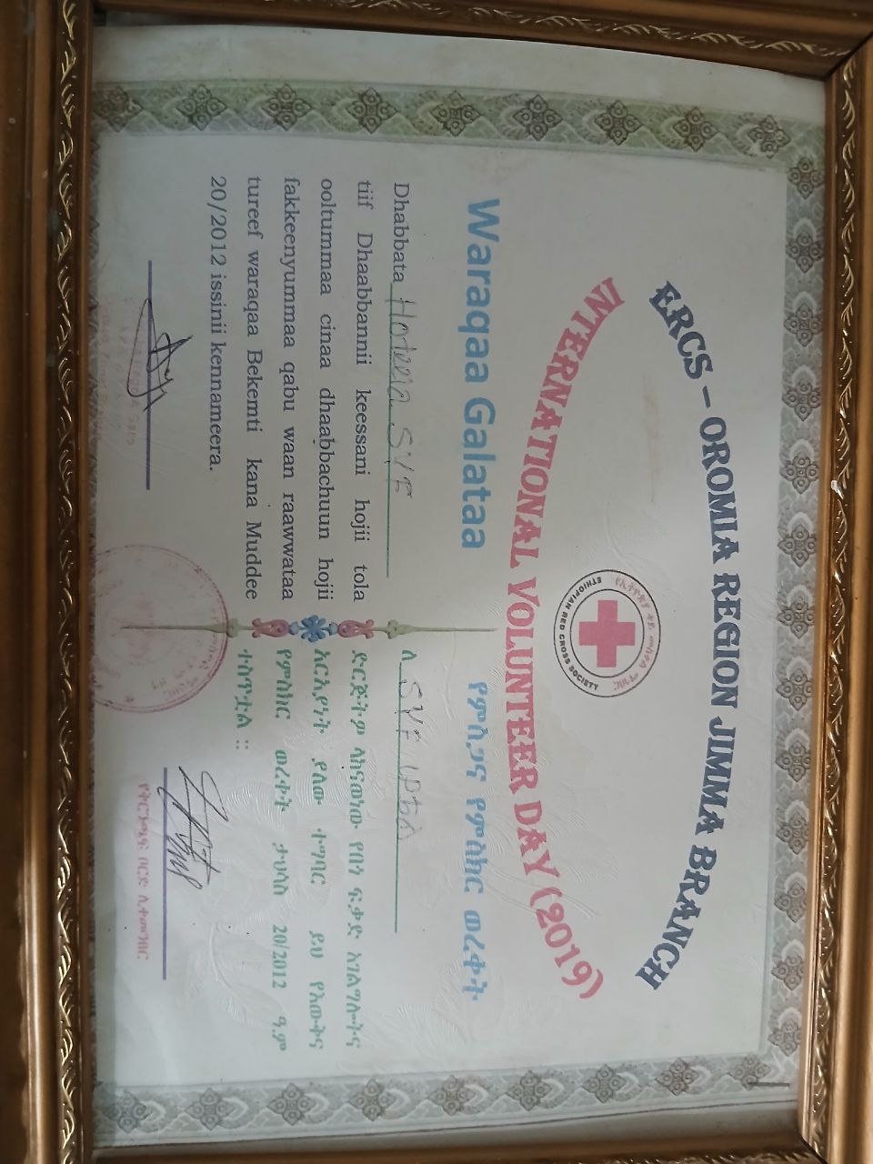 Certificate 7